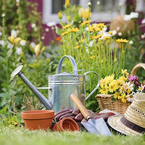 Gardening & Lawn Care
