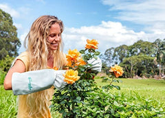 Exemplary Gardens Rose Pruning Gloves for Men and Women - Thorn Proof Goatskin Leather Gardening Gloves with Gauntlet (Large)