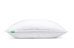 Fern and Willow Premium Loft Down Alternative Pillows for Sleeping (2-Pack) - Luxury Gel Plush Pillow - Hypoallergenic & Dust Mite Resistant (Queen)