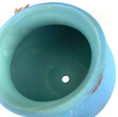 Hanging Succulent Planters | Multicolor Ceiling Wall Air Flower Pots for Plants | Indoor Outdoor