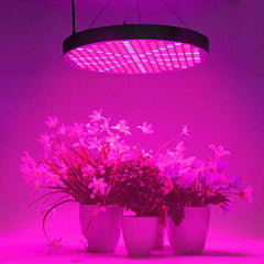 HYD-Parts 50W LED Plant Grow Lights, Shengsite UFO 250 LEDs Indoor Plants Growing Lamp with Red Blue Spectrum,Hydroponics Growth Light for Seedling,Vegetative&Flowering