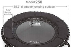 JumpSport 250 | Fitness Trampoline, In-Home Rebounder | Home Cardio Exercise | Safely Cushioned Bounce | Long Lasting Premium Bungees | Top Rated for Quality & Durability | Music Workout Video Incl.