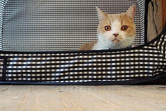 Necoichi Portable Stress Free Cat Cage Always Ready to go!