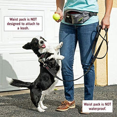 Paw Lifestyles PackUp Pouch Dog Treat Training Waist Belt, Storage Fanny Pack, and Poop Bag Dispenser
