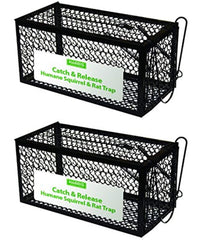 Harris Catch & Release Humane Cage Trap for Rats, Chipmunks, and Small Squirrels (2-Pack)