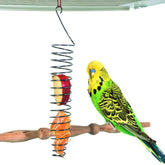 QBLEEV Bird Food Holder, Parrots Foraging Toys for Birdcage, Hanging Stainless Steel Bird Treat Feeders, Bird Food Basket for Fruit Vegetable Grain Wheat,Chew Toys for Conures Parakeets Cockatoos