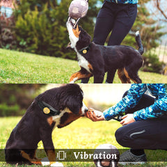 Peteme Dog Training Collar Rechargeable with Beep/Vibra/Electric Shock ,100% Waterproof Training Collar, Up to 1200Ft Remote Shock Electric Collar