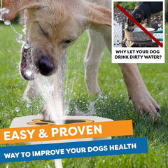 Scuddles Dog Fountain Water Fountain Dog Sprinkler Dog Toys for Large Or Small Dog Bowl Alternative