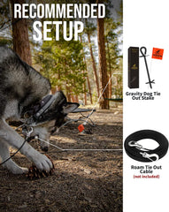 SÄKER  Dog Tie Out Stake - Holds 2 Large Dogs over 207lbs Easily - Lifetime Replacement - Heavy Duty Strongest Dog Anchor | Large Dog Stake for Peace of Mind in the Yard, in Camping or at the Beach
