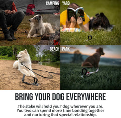 SÄKER  Dog Tie Out Stake - Holds 2 Large Dogs over 207lbs Easily - Lifetime Replacement - Heavy Duty Strongest Dog Anchor | Large Dog Stake for Peace of Mind in the Yard, in Camping or at the Beach