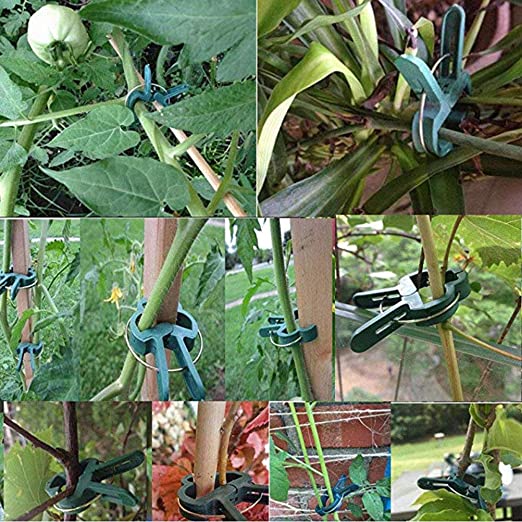 ATPWONZ 100 Piece Plant Clips,Reusable Plant Support Stake Clips,Flower and Vine Clips, Garden Tomato Peony Clips for Supporting or Straightening Plant Stems, Stalks, and Vines