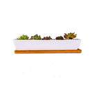 6.5 Inch Ceramic Rectangle Succulent Planter with Bamboo Saucer, Set of 2, White Modern Indoor Cactus/Flower Plant Pot with Drainage, Decoration for Desks/Bookshelves / Window Sills (A)