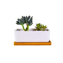 6.5 Inch Ceramic Rectangle Succulent Planter with Bamboo Saucer, Set of 2, White Modern Indoor Cactus/Flower Plant Pot with Drainage, Decoration for Desks/Bookshelves / Window Sills (A)