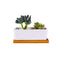 6.5 Inch Ceramic Rectangle Succulent Planter with Bamboo Saucer, Set of 2, White Modern Indoor Cactus/Flower Plant Pot with Drainage, Decoration for Desks/Bookshelves / Window Sills (A)