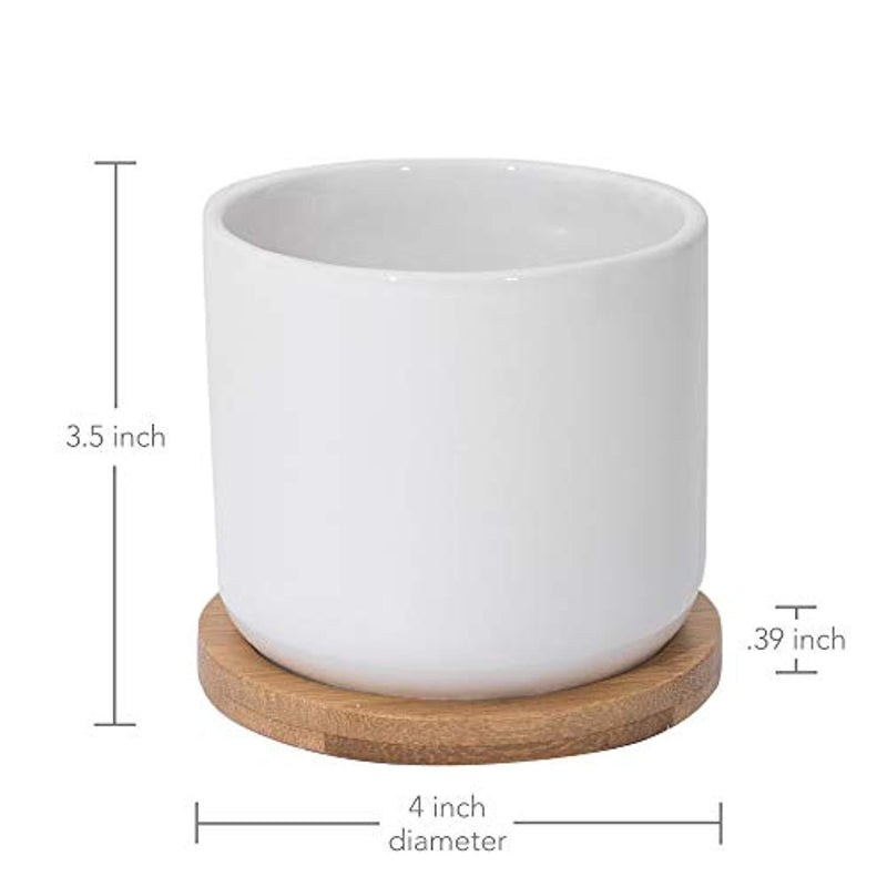 White Ceramic Succulent Pots with Bamboo Tray (Set of 3) | 4 Inch Succulent Planter Fits Larger Variety of Plants, Flowers & Cacti | Cute & Stylish Small Plant Pot with Drainage Hole