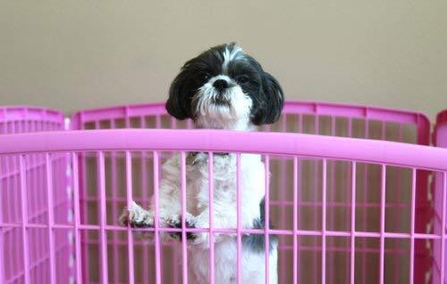 IRIS USA 24'' Exercise and Pet Playpen