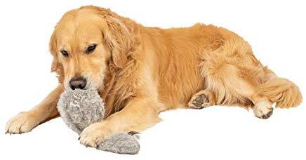 Hyper Pet Doggie Tail Interactive Plush Dog Toys(Wiggles, Vibrates, and Barks – Dog Toys for Boredom and Stimulating Play,Color Varies)