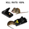 Iprotek Rat Trap - Powerful Mini Mouse Trap Kit Mole Vole Killer That Work for Mice Control Indoor Outdoor Safe to Set Bait More Effective Than Humane Wooden Rodent Catcher - 4 Pcak Snap Traps
