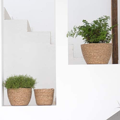La Jolíe Muse Natural Seagrass Planter Basket (3-Pack), Plant Pot Cover, Indoor Plant Pots (10 Inch)