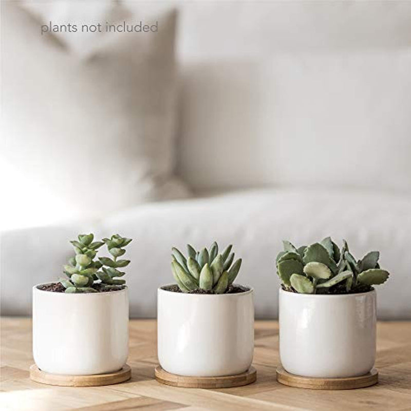 White Ceramic Succulent Pots with Bamboo Tray (Set of 3) | 4 Inch Succulent Planter Fits Larger Variety of Plants, Flowers & Cacti | Cute & Stylish Small Plant Pot with Drainage Hole