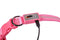 Blazin' Safety LED Dog Collar – USB Rechargeable with Water Resistant Flashing Light