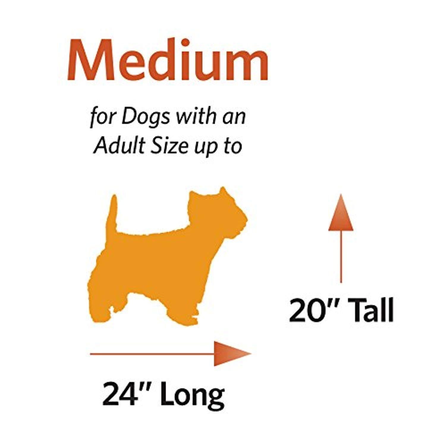 MidWest Homes for Pets Life Stages ACE Double Door Dog Crate