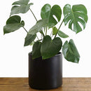 Indoor Flower Pot | Large Modern Planter, Terracotta Ceramic Plant Pot - Plant Container Great for Plant Stands (8.5 inch, Black)