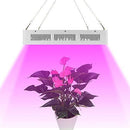 Monena LED Grow Light 3000W, Full Spectrum Dimmable Growing Lamp for Greenhouse Hydroponic Indoor Plants Vegs Seeds Flowers with Dual Dimmer On Off Switch