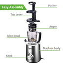 Argus Le Masticating Juicer, Slow Juice Extractor for Higher Nutrient and Vitamins, Easy to Clean Cold Press Juicer for All Fruits and Vegetables (Brushed Silver)