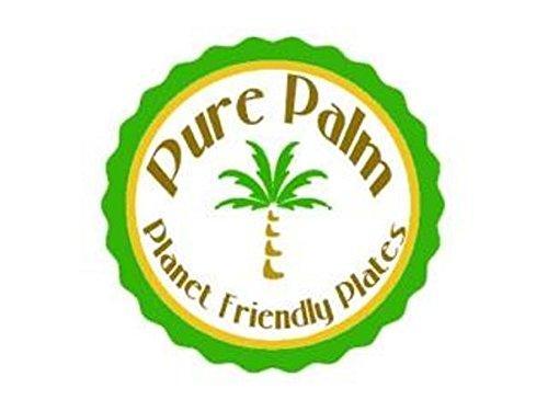 Pure Palm Planet Friendly Plates; Upscale Disposable Dinnerware; All-Natural Compostable Plateware (7" Square) (25 pack)