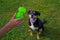 Hyper Pet DuraSqueaks Dog Toy Balls and Dog Chews (Squeaky Dog Ball For Interactive Play – Floating Dog Balls and Dog Toys)