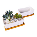 6.5 Inch Ceramic Rectangle Succulent Planter with Bamboo Saucer, Set of 2, White Modern Indoor Cactus/Flower Plant Pot with Drainage, Decoration for Desks/Bookshelves / Window Sills (A)