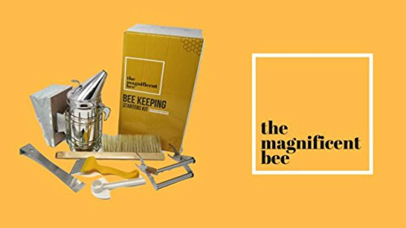 6 Piece Beekeeping Supplies Starters Kit - Bee Hive Smoker, Uncapping Fork Tool, Bee Brush, Frame Grip, Extracting Scraper, Bee Feeder Tool
