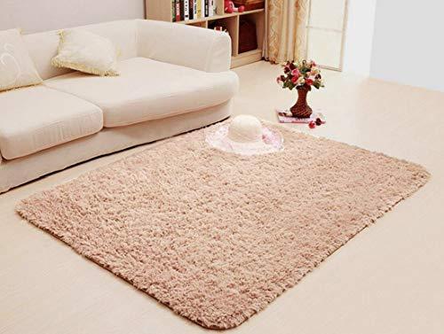Super Soft Indoor Modern Shag Area Silky Smooth Rugs Living Room Carpet Bedroom Rug for Children PAGISOFE Play Solid Home Decorator Floor Rug and Carpet 4- Feet by 5- Feet (Hot Pink)