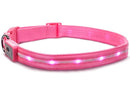 Blazin' Safety LED Dog Collar – USB Rechargeable with Water Resistant Flashing Light