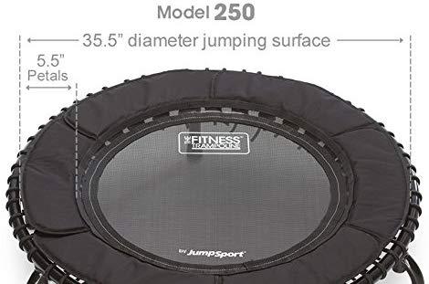 JumpSport  250 | Fitness Trampoline, In-Home Rebounder | Home Cardio Exercise | Safely Cushioned Bounce | Long Lasting Premium Bungees | Top Rated for Quality & Durability | Music Workout Video Incl.