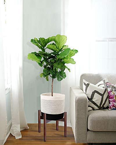 Mid Century Plant Stand - Up to 10'' Flower Pot, Wood Indoor Planter Holder, Modern Home Decor (Planter Not Included)