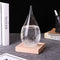 Storm Glass Weather Predictor-Creative Stylish Desktop Storm Glass Weather Bottle Forecast Perfect for Christmas/Birthday Gift and Home/Office Decorations