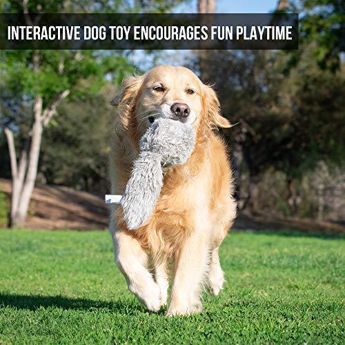 Hyper Pet Doggie Tail Interactive Plush Dog Toys(Wiggles, Vibrates, and Barks – Dog Toys for Boredom and Stimulating Play,Color Varies)