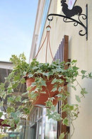Worth Garden Decorative Outdoor Iron Wall-Mount Plant Hook for Flowers and Plants to add to Your Home - Garden or Patio