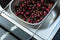 LiveFresh Over the Sink Micro-perforated Stainless Steel 4-Quart Colander with Non-Slip Handle Grips and Rubber Feet - Handles Extend to Fit Any Sink