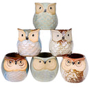 6 Pcs Mini Small Ceramic Owl Succulent Plant Pot Flower Planter Holder Cactus Planter Pot Flower Pot Container Planter