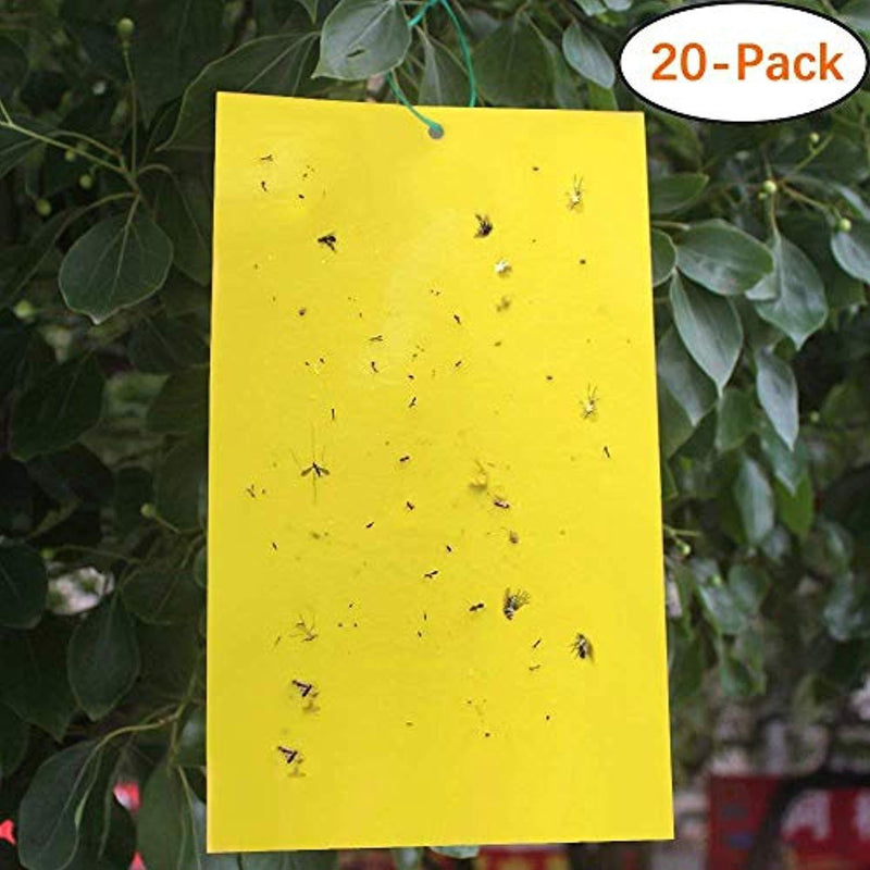 Trapro 20-Pack Dual-Sided Yellow Sticky Traps for Flying Plant Insect Like Fungus Gnats, Aphids, Whiteflies, Leafminers - (6x8 Inches, Twist Ties Included)