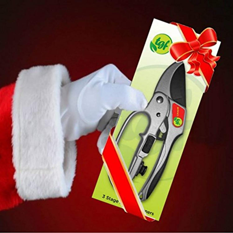 The Gardener's Friend Pruners, Ratchet Pruning Shears, Garden Tool, For Weak Hands, Gardening Gift For Any Occasion, Anvil Style