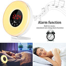 Sunrise Wake Up Light Digital Alarm Clock with 7 Natural Sounds Sunrise & Sunset Simulation, FM Radio, Touch Control, Snooze Function and USB Charger