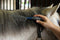 Oster Equine Care Series 7-Piece Grooming Kit