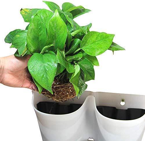 Worth Watering Indoor Outdoor Vertical Wall Hangers with Pots Included Wall Plant Hangers Each Wall Mounted Hanging Pot has 3 Pockets 36 Total Pockets