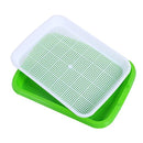 Homend Seed Sprouter Tray, 5 Pack Seed Germination Tray BPA Free Nursery Tray for Seedling Planting Great for for Garden Home Office