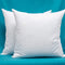 YSTHER Set of 2, Down and Feather Cushion, Decorative Throw Pillow Insert 18x18 for Couch