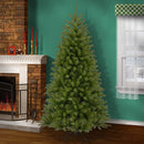 National Tree 7.5-Foot North Valley Spruce Tree, Hinged (NRV7-500-75)